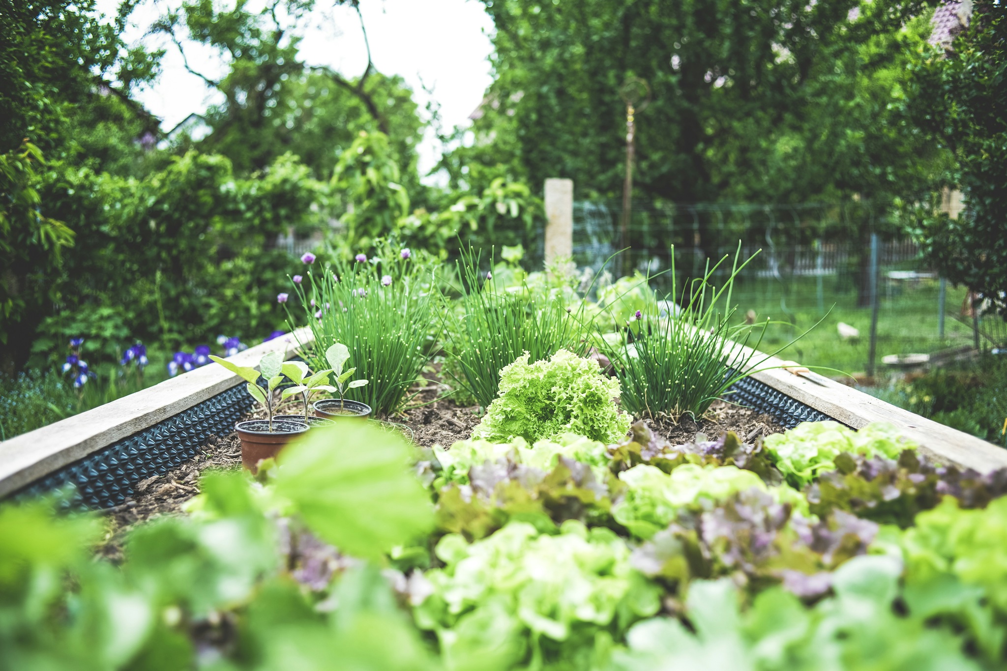 Gardening